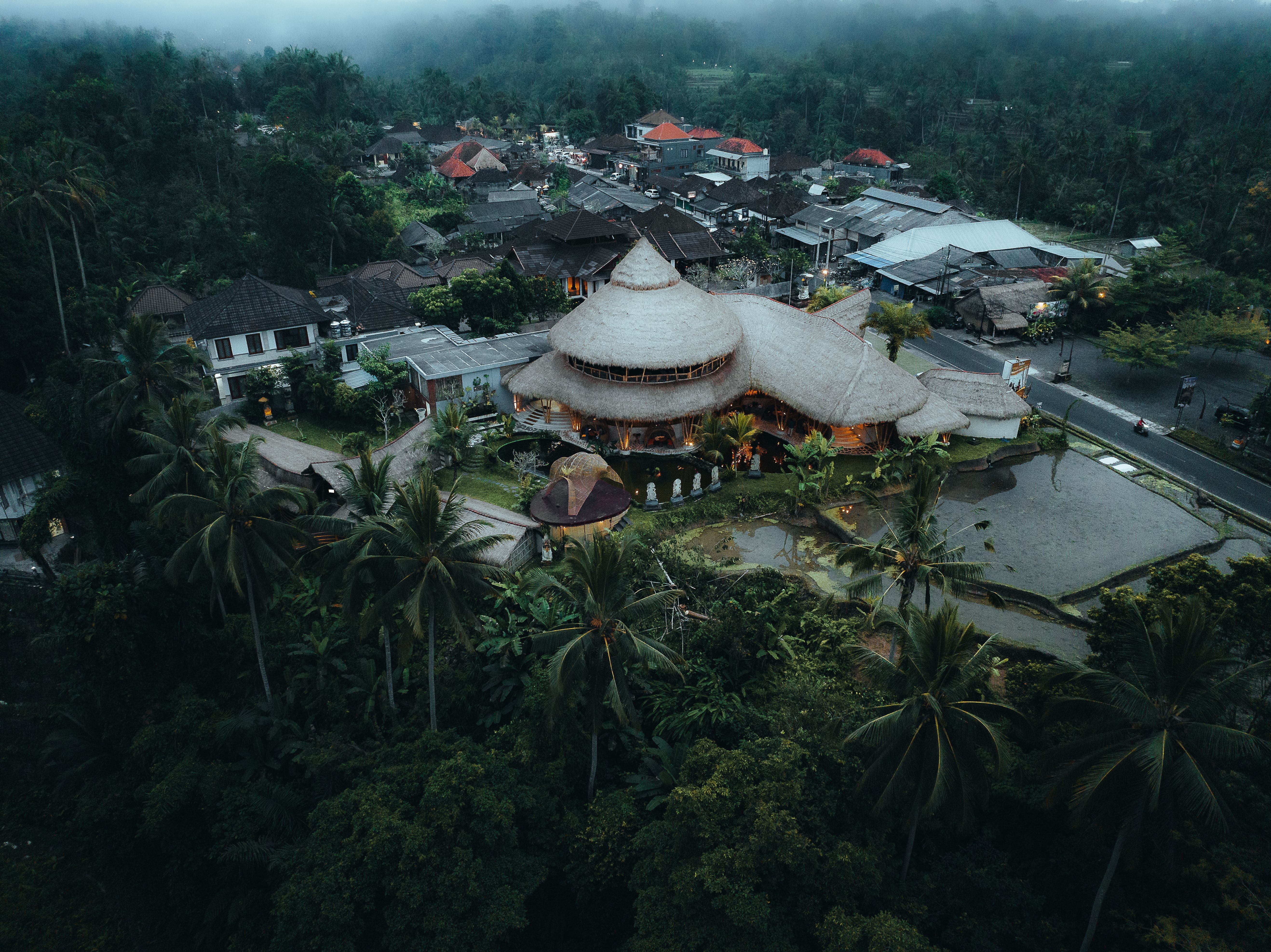 Bali Area Guides