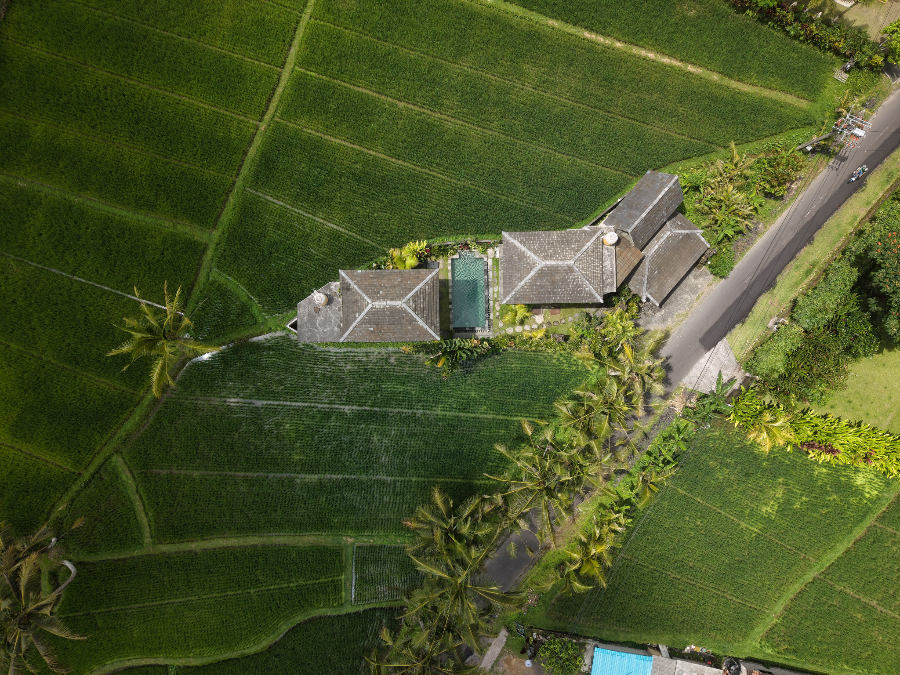 Villa among Bali rice fields